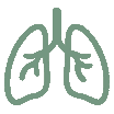 Rehabilitación respiratoria